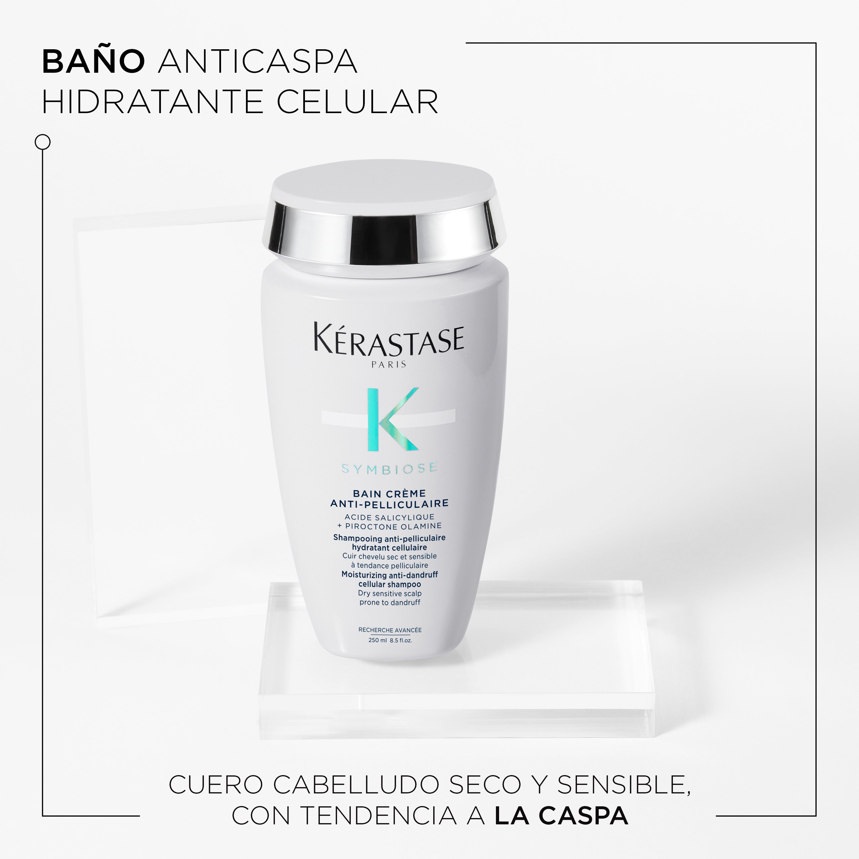 Shampoo Anti-Caspa Cabello Seco