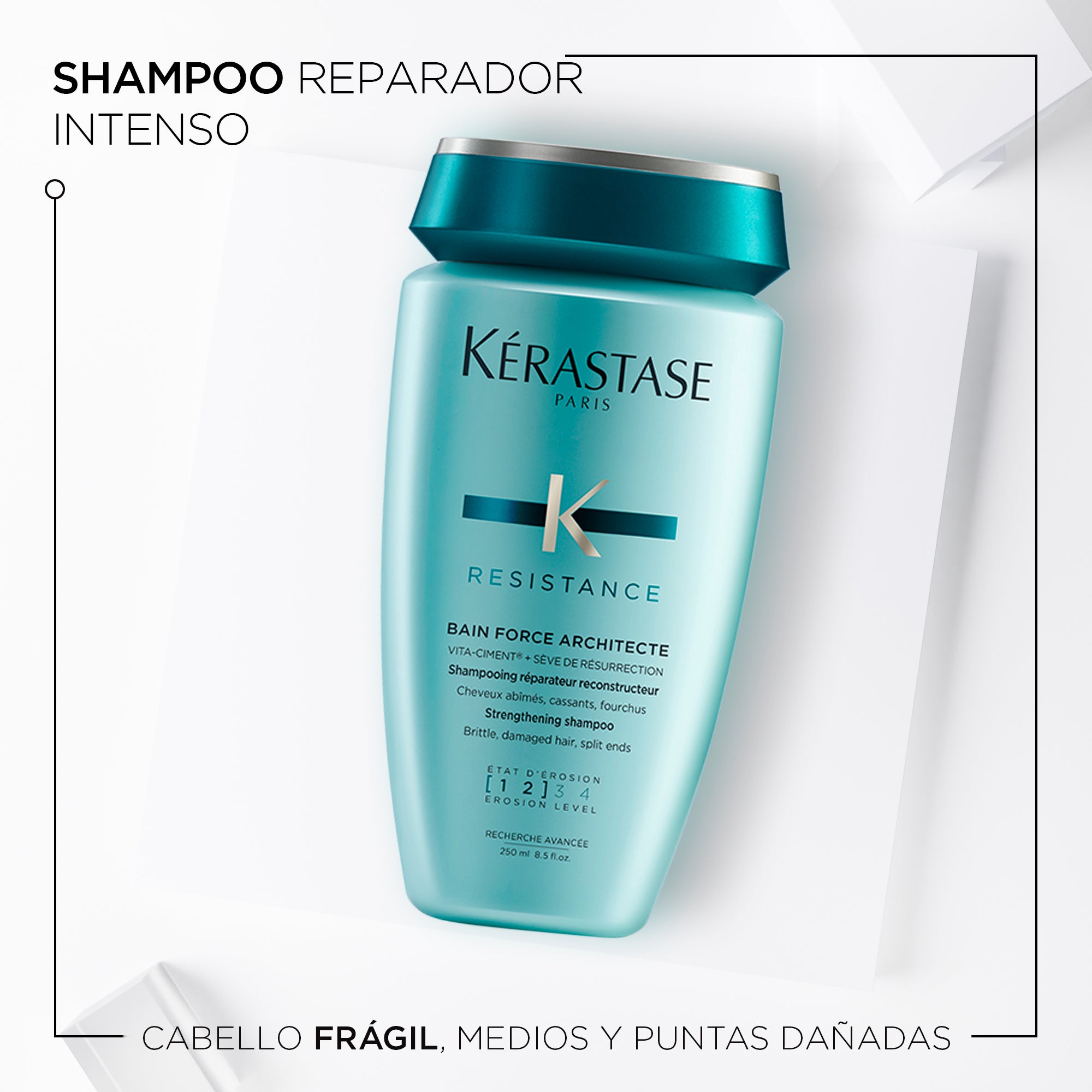 Shampoo para cabello Maltratado