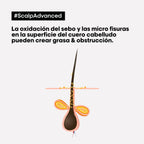 Arcilla capilar anti-grasa Scalp Advanced