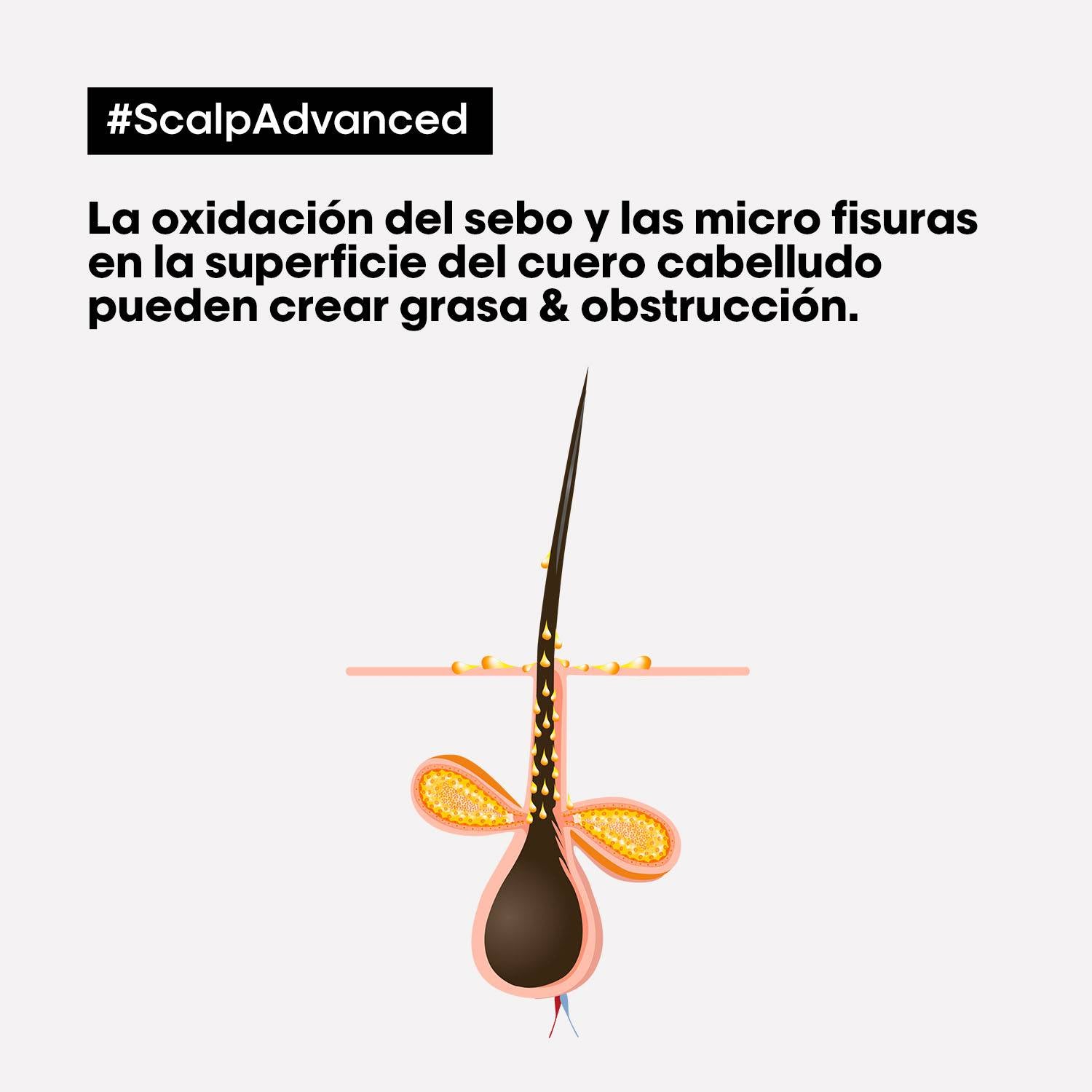 Arcilla capilar anti-grasa Scalp Advanced