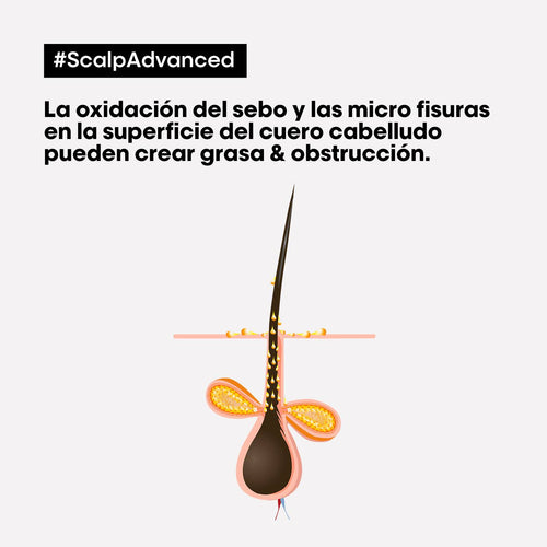 Arcilla capilar anti-grasa Scalp Advanced