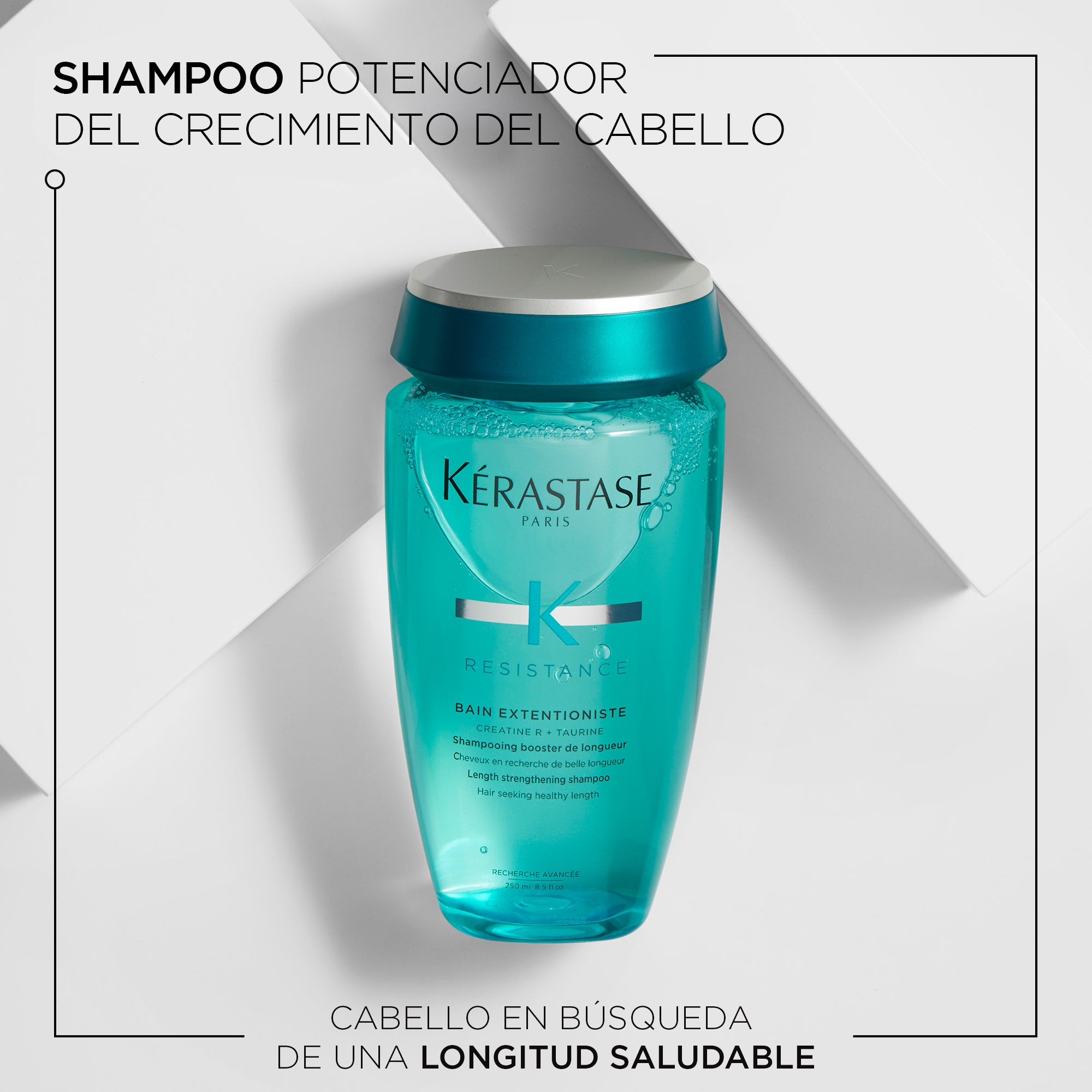 Shampoo Reparación Cabello Largo