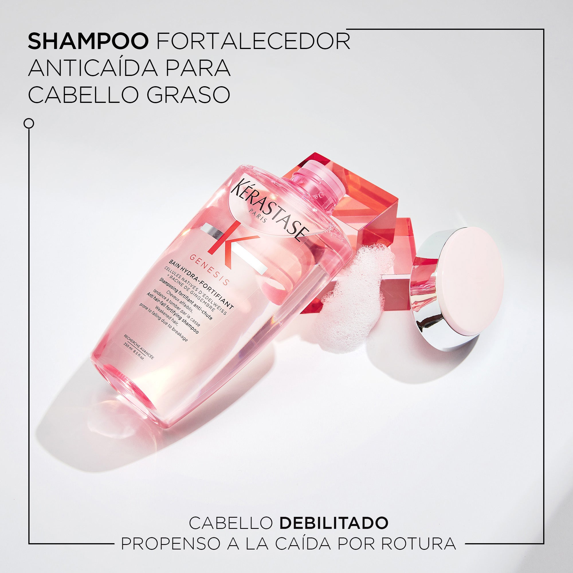 Shampoo Anti Caida Cabello Graso Genesis