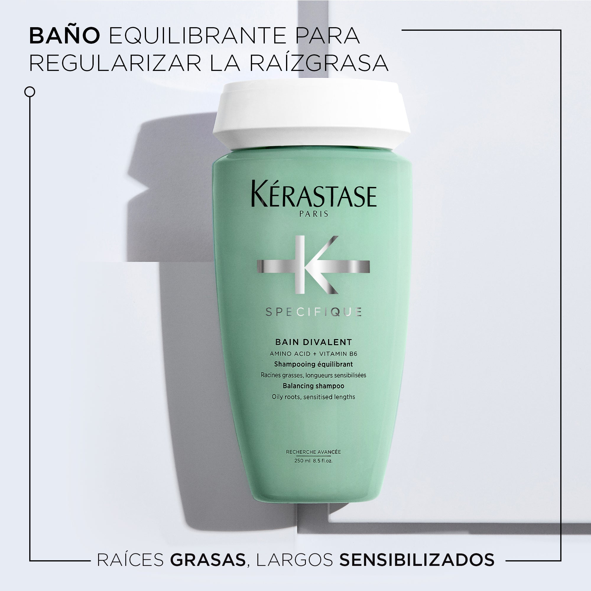 Shampoo equilibrante