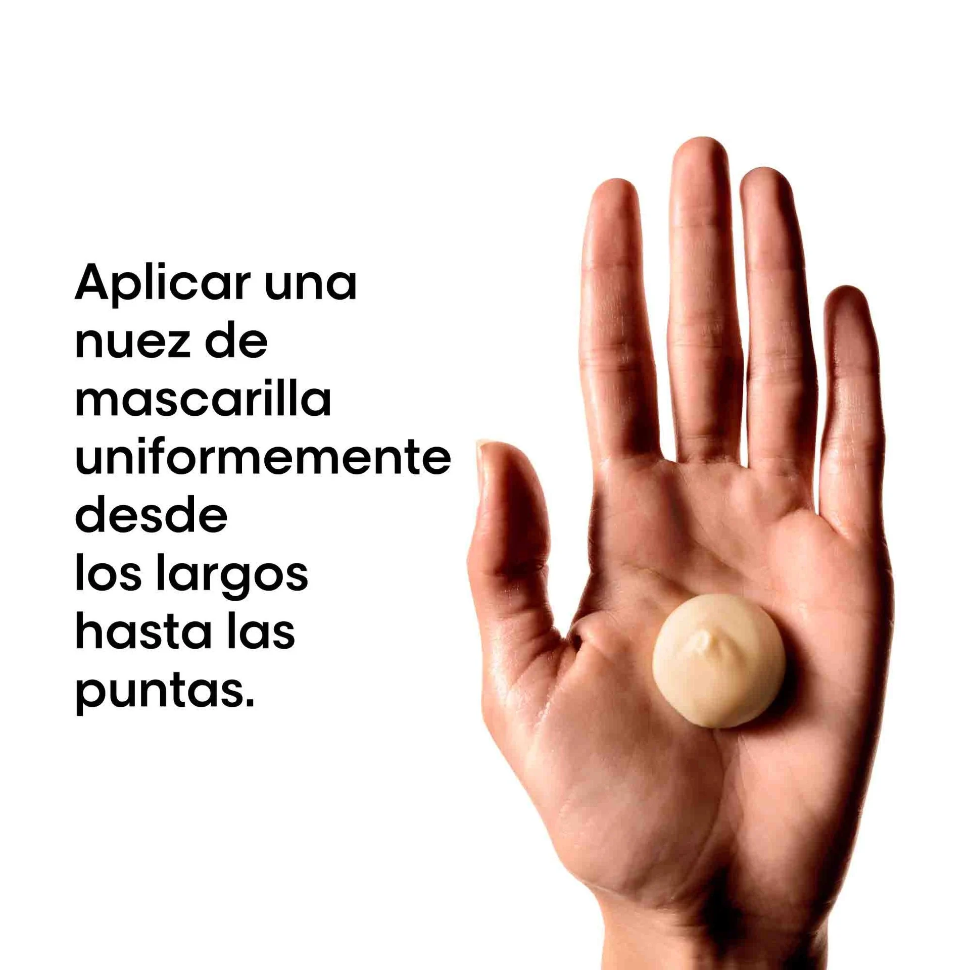 Mascarilla Absolut Repair