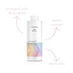Shampoo Protector del Color para Cabello Teñido y Dañado