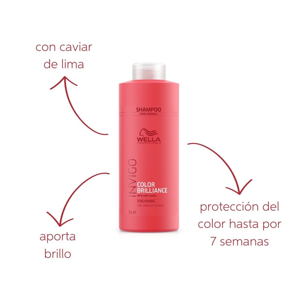 Shampoo Protector del Color para Cabello Teñido