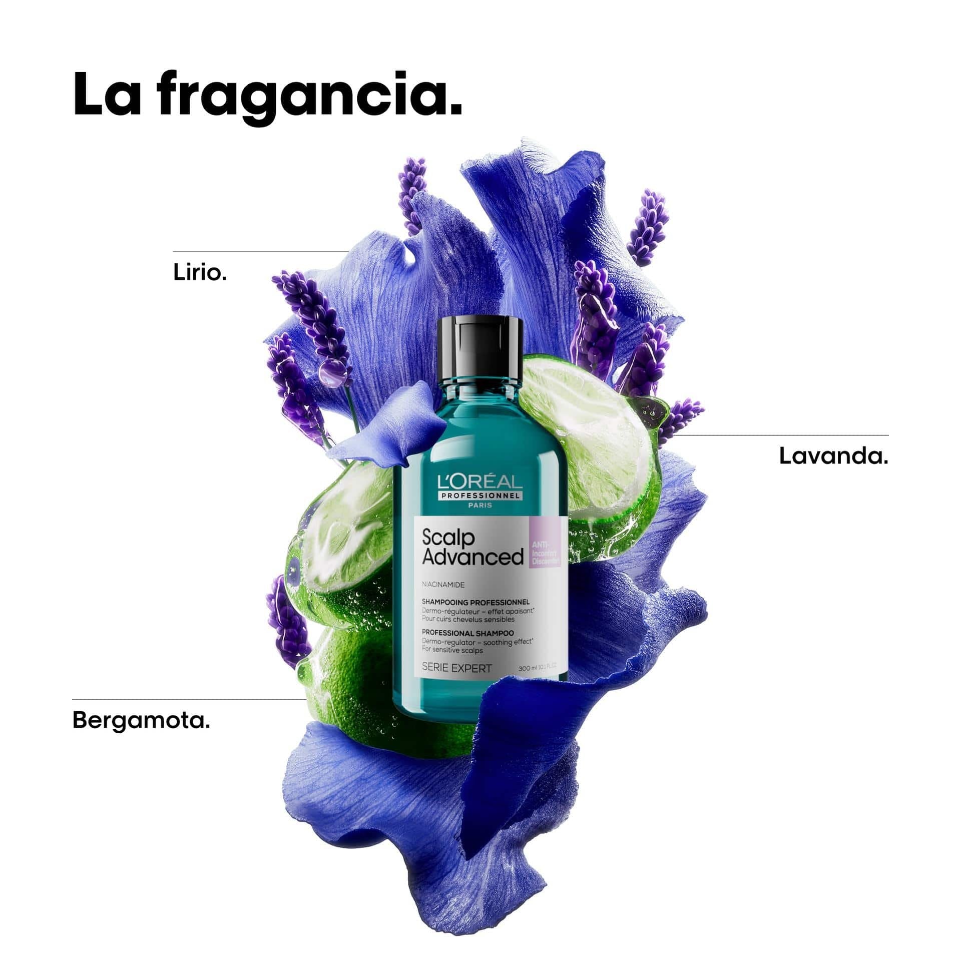 Shampoo anti-grasa Scalp Advanced