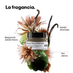Mascarilla Reparación de Cabello