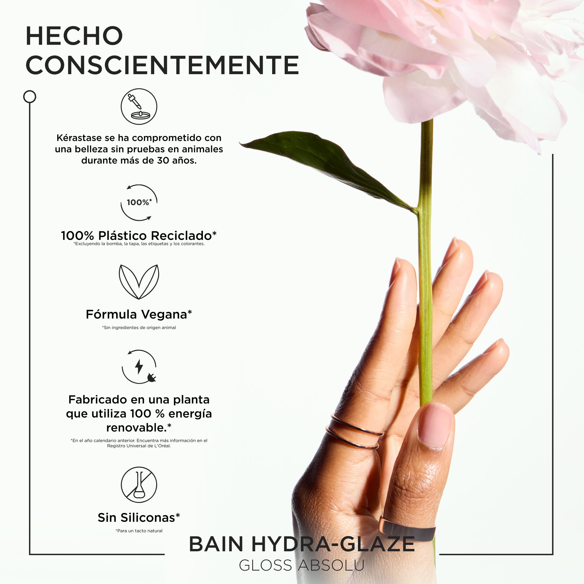 Shampoo hidratante